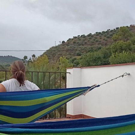 Apartamento Casa Con Vistas Al Campo Y Cocina Con Terraza Villanueva de San Juan Eksteriør bilde