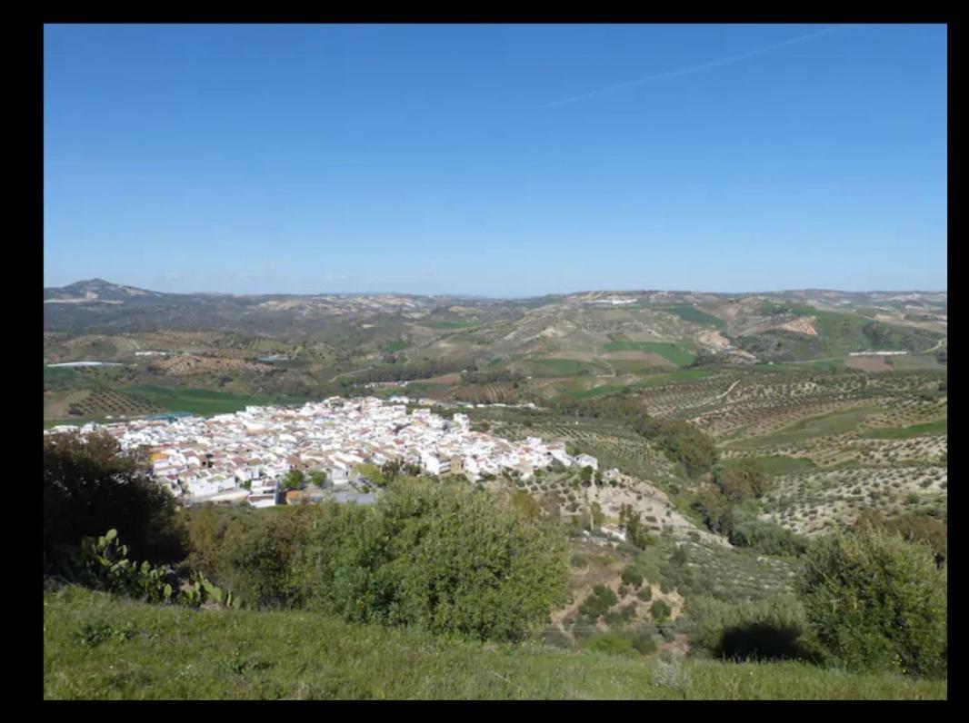 Apartamento Casa Con Vistas Al Campo Y Cocina Con Terraza Villanueva de San Juan Eksteriør bilde